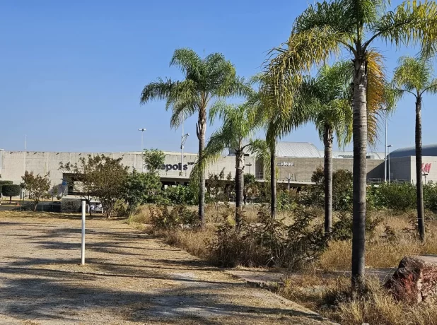 WhatsApp Image 2024-12-12 at 19.16.27 (1)