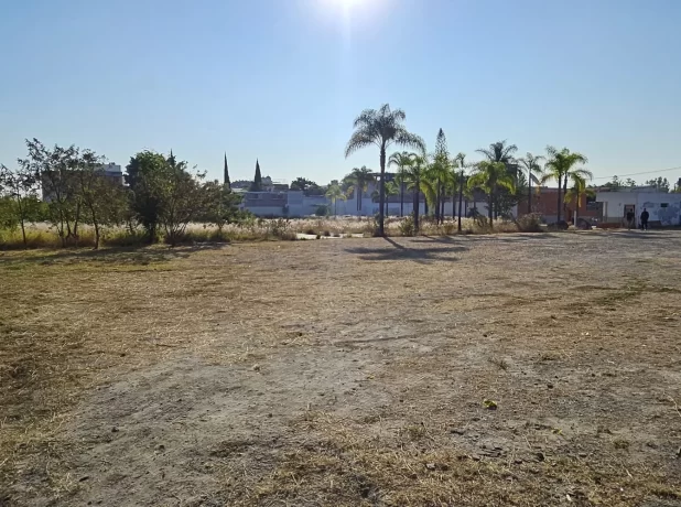 WhatsApp Image 2024-12-12 at 19.16.27