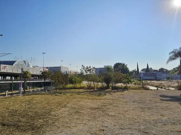 WhatsApp Image 2024-12-12 at 19.16.28 (1)