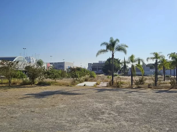 WhatsApp Image 2024-12-12 at 19.16.28 (4)