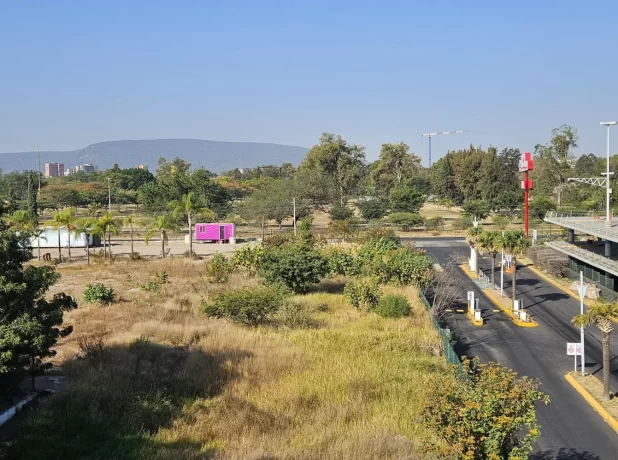 WhatsApp Image 2024-12-12 at 19.16.28 (5)