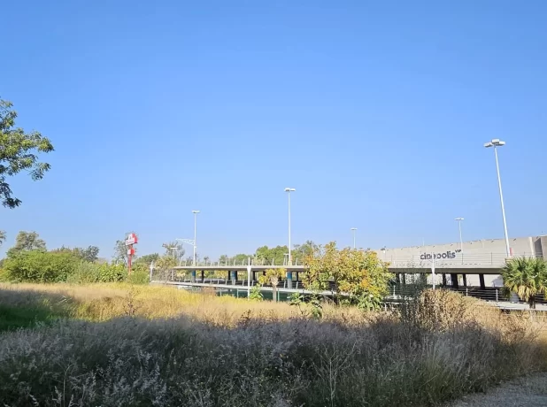 WhatsApp Image 2024-12-12 at 19.16.28 (6)