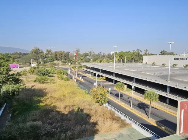 WhatsApp Image 2024-12-12 at 19.16.28 (7)