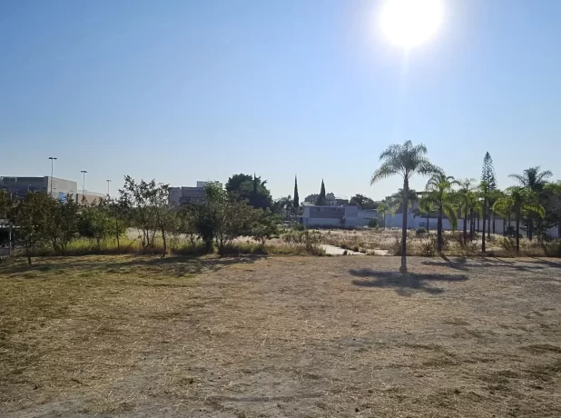 WhatsApp Image 2024-12-12 at 19.16.28